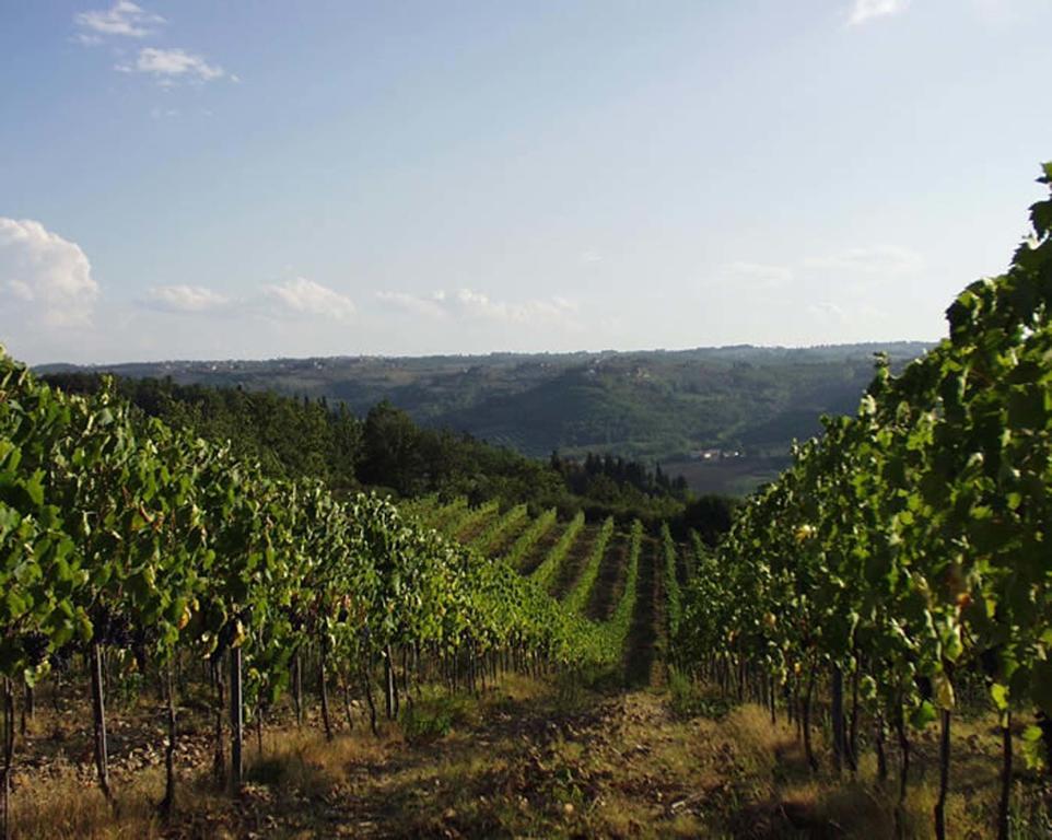 Agriturismo Macinello Montefiridolfi Buitenkant foto